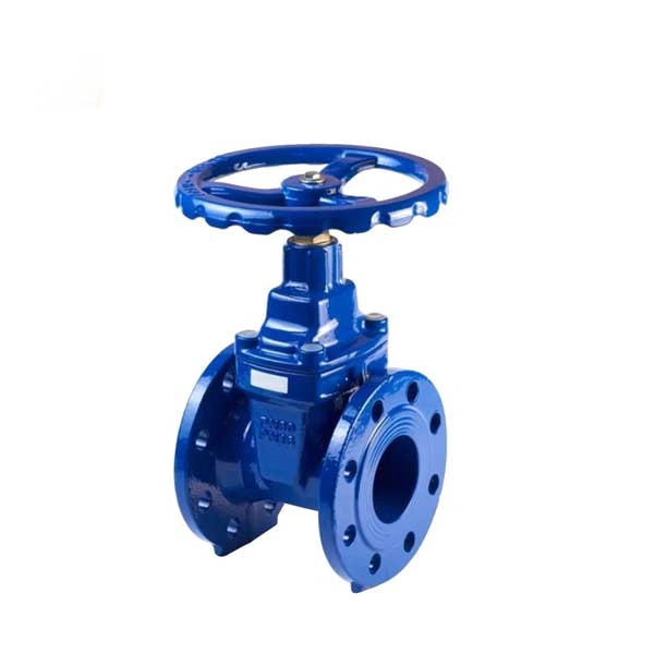 Gate Valve