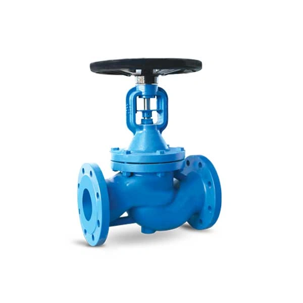 Globe Valve